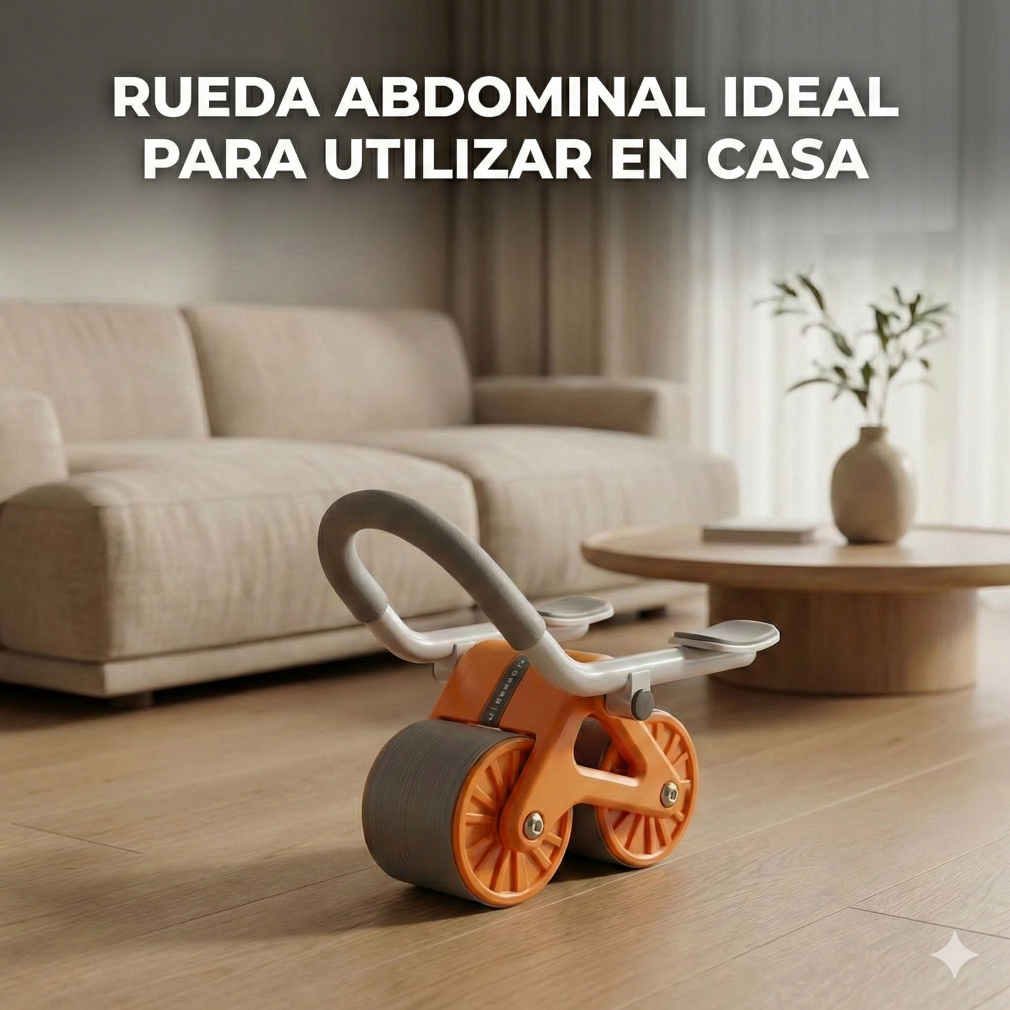 Rueda Abdominal 😀✔️